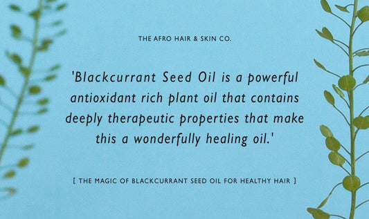 The Magic of Blackcurrant Seed Oil for Healthy Skin