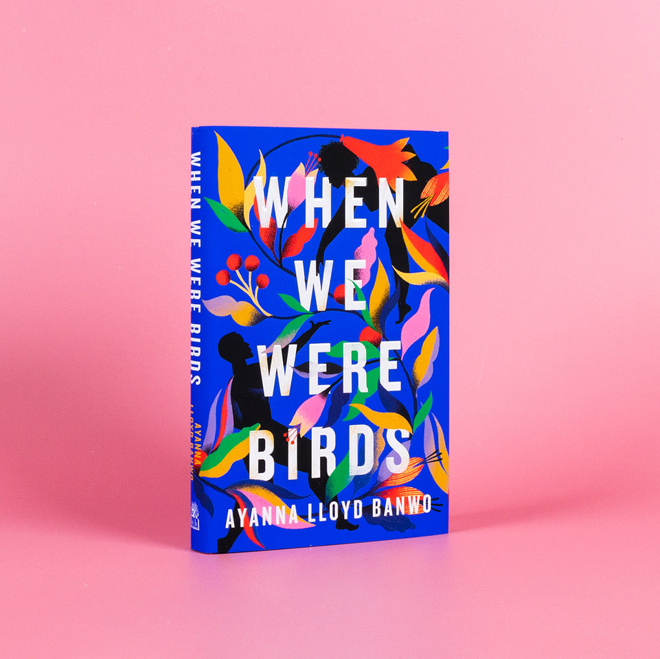 We interview Ayanna Lloyd Banwo on her debut novel, When We Were Birds.