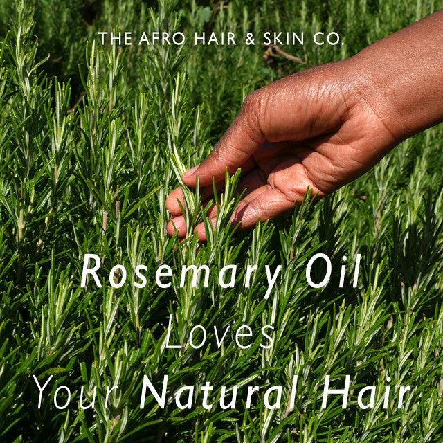 Rosemary Oil Loves Your Natural Hair